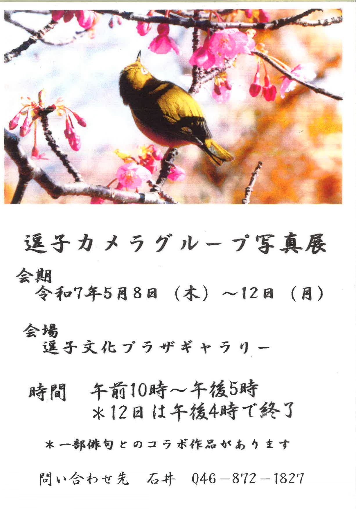 逗子カメラグループ　写真展